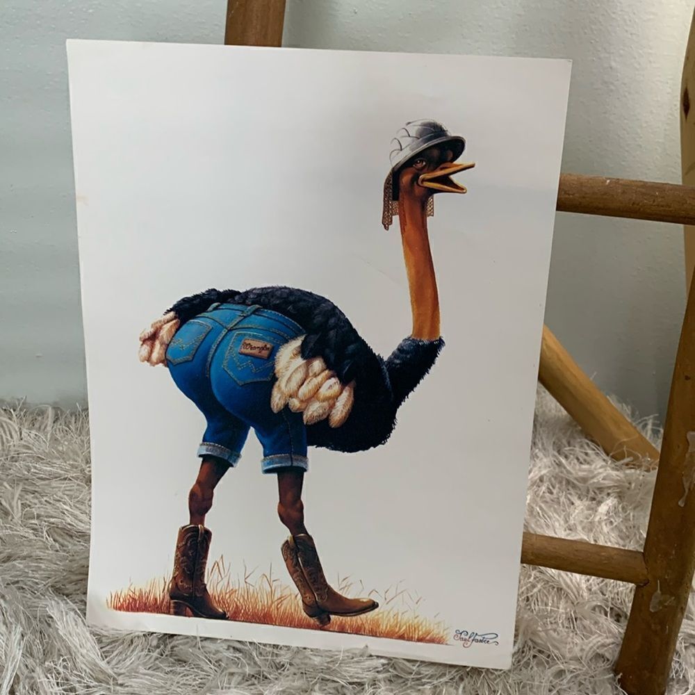 Vintage‎ Wrangler Denim Jeans Advertising
Poster Print Ostrich In Cowboy Boots